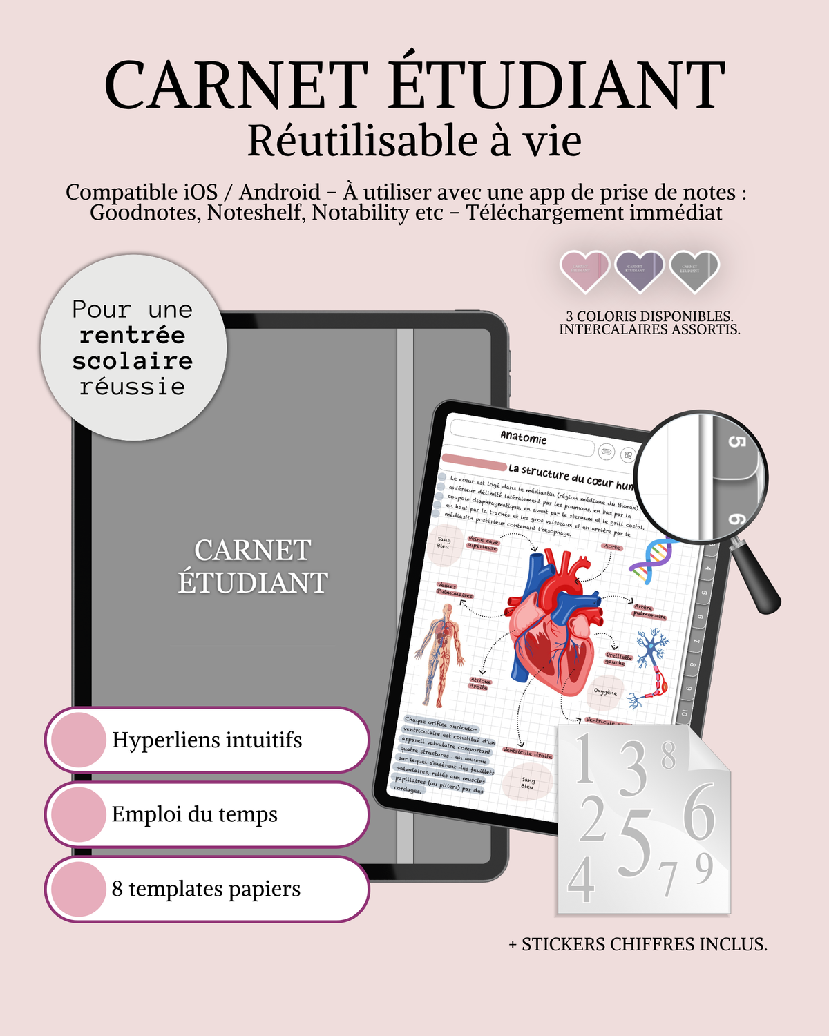 Carnet Étudiant Digital Réutilisable à Vie | 3 coloris | Fiches de cours | Emploi du temps | Goodnotes
