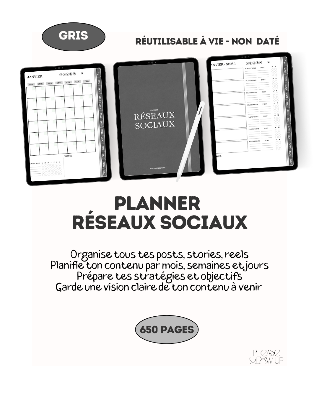 Planner réseaux sociaux (gris)